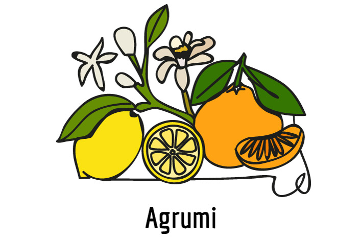 Fragranza Agrumi