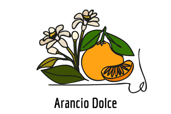 Fragranza Arancio Dolce