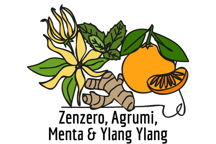 Fragranza Zenzero Agrumi Menta Ylang Ylang