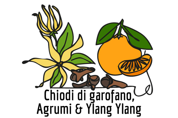 Fragranze Chiodi Di Garofano Agrumi Ylang Ylang